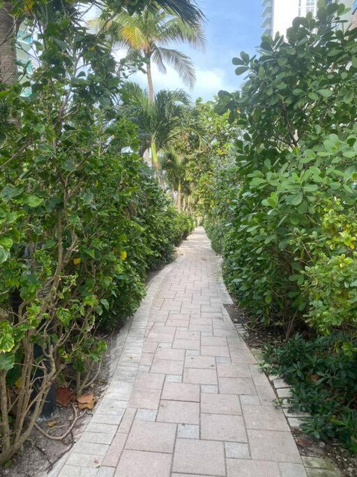 Beachwalk 1B-1B Apmt Amazing View 12A Hallandale Beach Eksteriør bilde